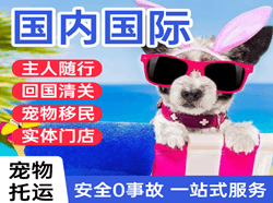 普宁机场物流国际宠物托运 【国